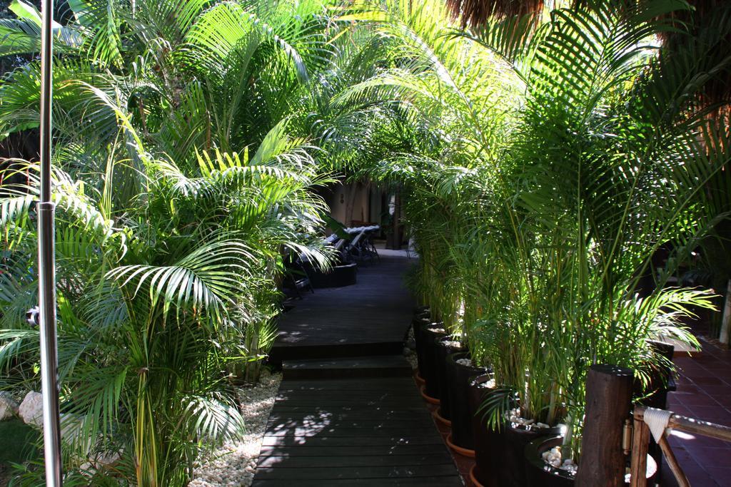 La Tortuga Hotel & Spa - Adults Only Playa del Carmen Bagian luar foto